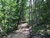 Orchard Hill Road, Summerville, GA, 30747