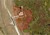 Tradition Parkway, Port Saint Lucie, FL, 34987