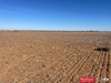 85 Acres Lubbock CO., , Slaton , TX, 79364