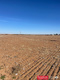 85 Acres Lubbock CO., , Slaton , TX, 79364