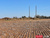 85 Acres Lubbock CO., , Slaton , TX, 79364
