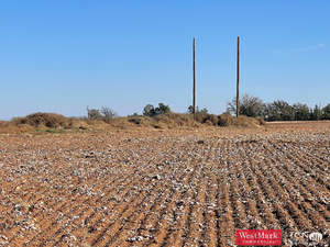 85 Acres Lubbock CO., , Slaton , TX, 79364