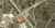 14690 Greenwell Springs Rd, Greenwell Springs, LA, 70739