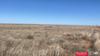 354 Acres CR 110 Cochran Co., TX, Morton, TX, 79346
