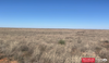 354 Acres CR 110 Cochran Co., TX, Morton, TX, 79346