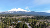 APN 057-771-250 and 057-771-260, Mt shasta, CA, 96067