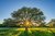 1100 Persimmon Hill, Bulverde, TX, 78163