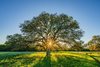 1100 Persimmon Hill, Bulverde, TX, 78163