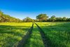 1100 Persimmon Hill, Bulverde, TX, 78163