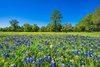 900 Bulverde Rd, Bulverde, TX, 78163