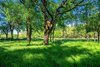 900 Bulverde Rd, Bulverde, TX, 78163