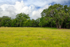 265 Green Acres Lane, Milano, TX, 76556