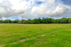 160 Green Acres Lane, Milano, TX, 76556