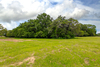 160 Green Acres Lane, Milano, TX, 76556