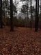 Lakewood Trace, Wetumpka, AL, 36093