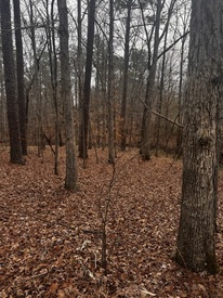 Lakewood Trace, Wetumpka, AL, 36093