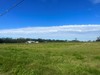 28024 SR 64 E., Myakka City, FL, 34251