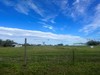 28024 SR 64 E., Myakka City, FL, 34251