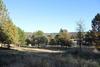 E Main St - Three Parcels 14.68 Acres , Grass Valley, CA, 95945