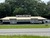 7817 N 56th St, Tampa, FL, 33617