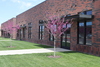 7629 Hillside, Suite 200, Amarillo, TX, 79119