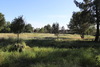 1642-1710 Canby Road, Redding, CA, 96002