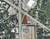 7105 Military Ave - 4115 N 72nd St, Omaha, NE, 68104