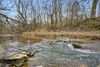Puppy Creek Rd, Lowell, AR, 72745