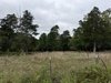 524 County Road 452, Berryville, AR, 72616