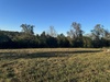 524 County Road 452, Berryville, AR, 72616