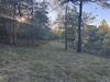 524 County Road 452, Berryville, AR, 72616