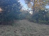 524 County Road 452, Berryville, AR, 72616