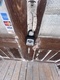 180 N Main, Eureka Springs, AR, 72632