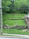 180 N Main, Eureka Springs, AR, 72632