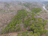 Jordan Dr, Eureka Springs, AR, 72632