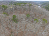 Jordan Dr, Eureka Springs, AR, 72632