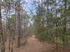 Jordan Dr, Eureka Springs, AR, 72632