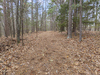 Jordan Dr, Eureka Springs, AR, 72632