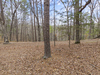 Jordan Dr, Eureka Springs, AR, 72632