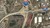 10725 Statesville Rd, Charlotte, SC, 28269