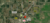 NEC Scholl & Satterly Lake Roads, Mancelona, MI, 49659