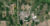 I-275 & Will Carleton Road, New Boston, MI, 48164