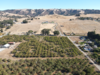 0 Crews Road, Gilroy, CA, 95020
