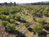 0 Crews Road, Gilroy, CA, 95020