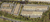 801 - 809 Barkwood Ct, Linthicum Heights, MD, 21090