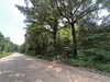 Cr 145 , Smithville, AR, 72466