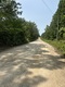 Cr 145 , Smithville, AR, 72466