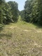Cr 145 , Smithville, AR, 72466