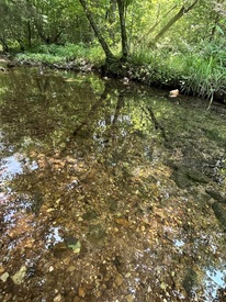Cr 145 , Smithville, AR, 72466