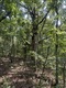 Cr 145 , Smithville, AR, 72466